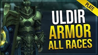 Uldir Raid Armor - Plate | In-game Preview With All Male & Female Races | Battle for Azeroth!