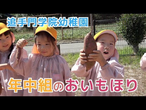 情報学科 【追手門学院幼稚園】年中組のおいもほり（幼保連携型認定こども園 追手門学院幼稚園）