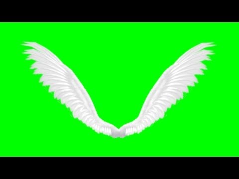 download lagu mp3 mp4 Animated Angel Wings, download lagu Animated Angel Wings gratis, unduh video klip Animated Angel Wings