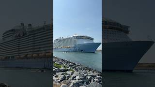 Utopia of the Seas sounding her horn! #shorts #utopiaoftheseas #cruiseship #royalcaribbean