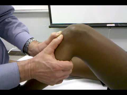 Anterior and Posterior Drawer Tests
