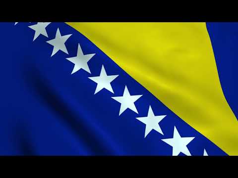 Bosnia and Herzegovina flag / zastava Bosne i Hercegovine