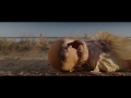ANNABELLE CREATION Official Trailer