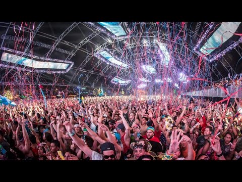 Arty | Live at EDC Las Vegas 2014
