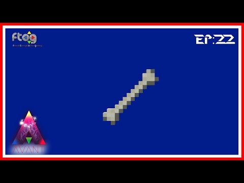 FTOG - Avant 3 EP22 - Making a (Bone) Meal of it