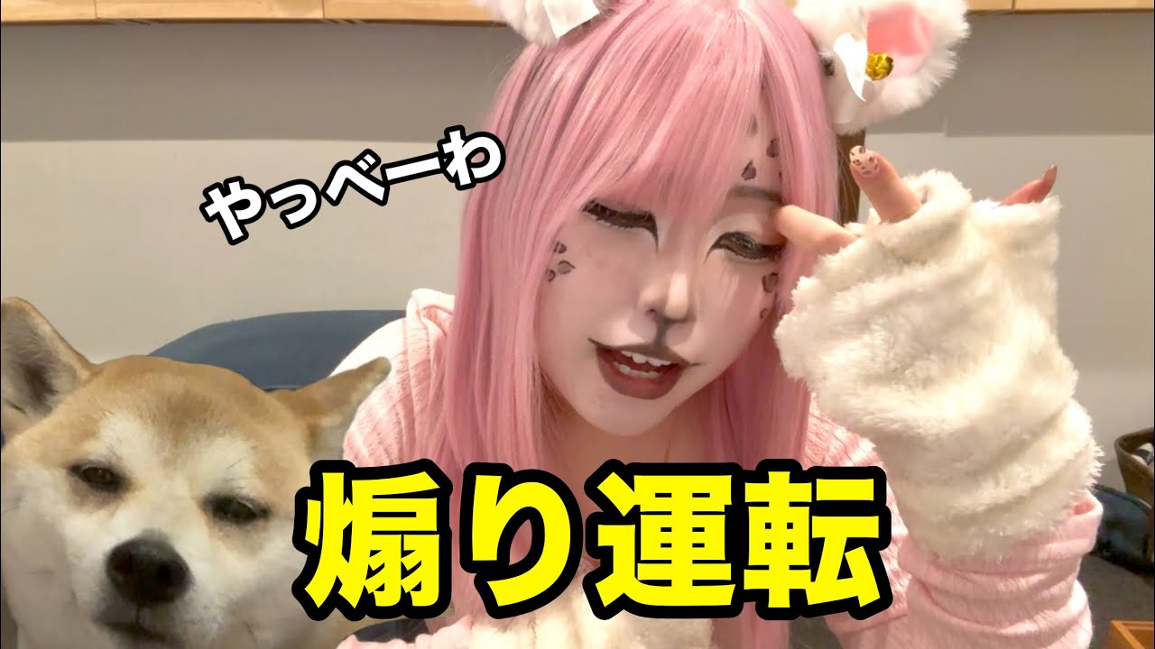 お出かけしたら煽られました。