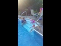 Zoey diving