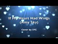 If My Heart Had Wings (Amy Sky) cover by SYC (with lyrics)