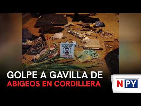Golpe a gavilla de abigeos en Cordillera
