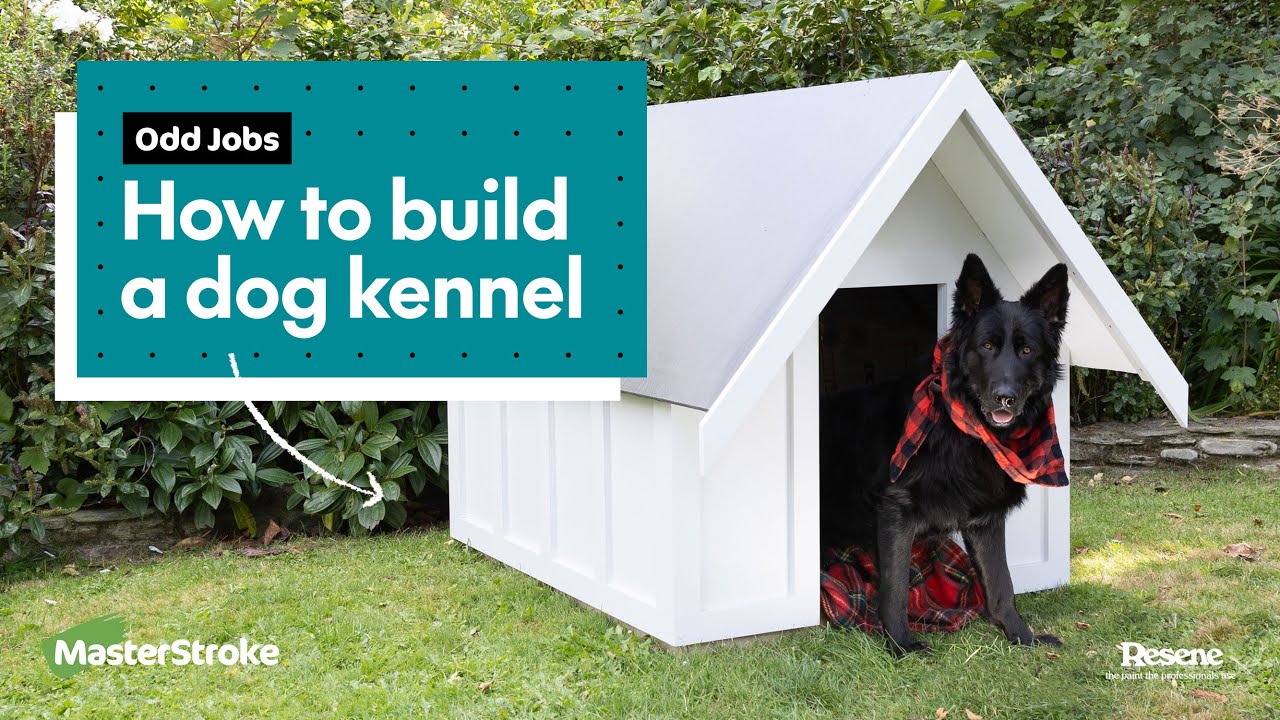 How to build a paw-fect dog kennel