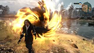 The Witcher 3: Polymorphism Hability