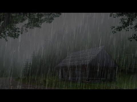 Hujan Pengantar Tidur - Tertidur Nyenyak dalam 3 Menit dengan Suara Hujan Deras di Atap di Hutan