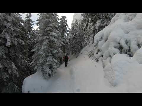 Durău-Cabana Fântânele-Vf. Toaca-Cabana Dochia 7 ianuarie 2022