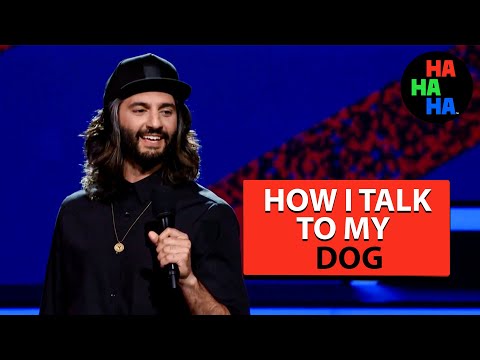 Amir K - How I Talk to My Dog