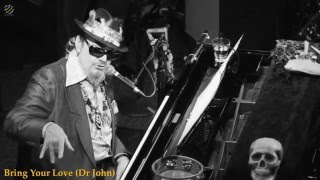 Bring Your Love - Dr.John (HQ Audio)