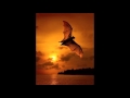 Catherine MacLellan - Dark Dream Midnight