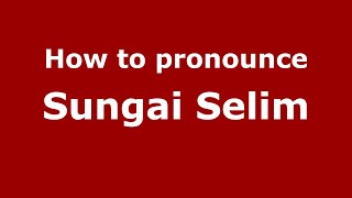 How to pronounce Sungai Selim