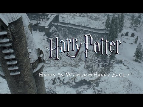 Harry in Winter – Harry & Cho - Harry Potter and the Goblet of Fire Complete Score (Film Mix)