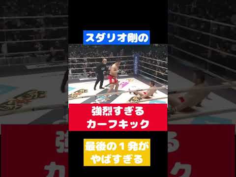 スダリオ剛の最強カーフキックで相手選手のカーフが壊れる　#shorts #rizin #切り抜き #きりぬき #スダリオ剛 #ミノワマン#カーフキック