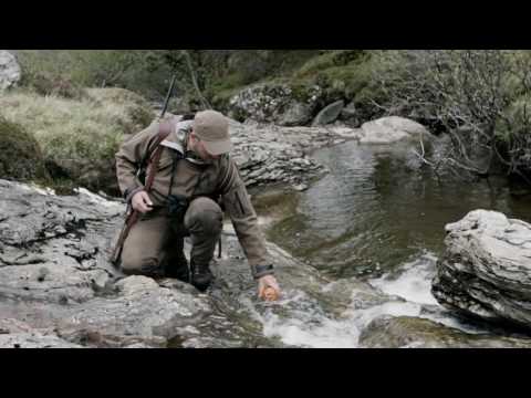 Browning Maral - Rehwild Jagd in Schottland