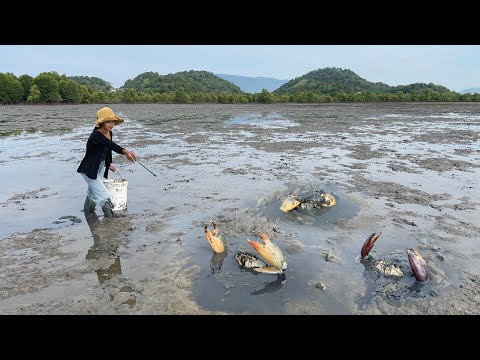 Lucky Day - I Found Many Huge Mud Crabs In Muddy after Water Low
