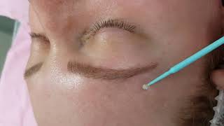 Healed after 1 session Blonde Eyebrows Microbladed by El Truchan @ Perfect Definition