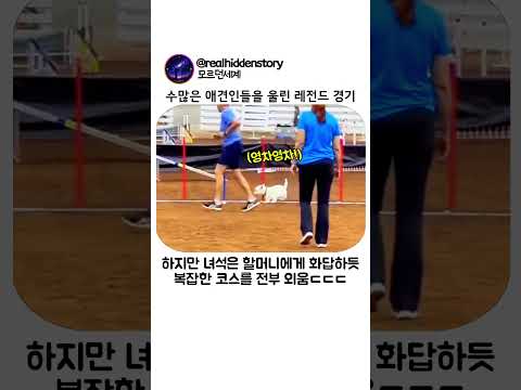 수많은 애견인들을 울린 레전드 경기