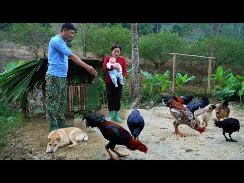 The kind man helped the single mother build a small chicken coop to improve her life.