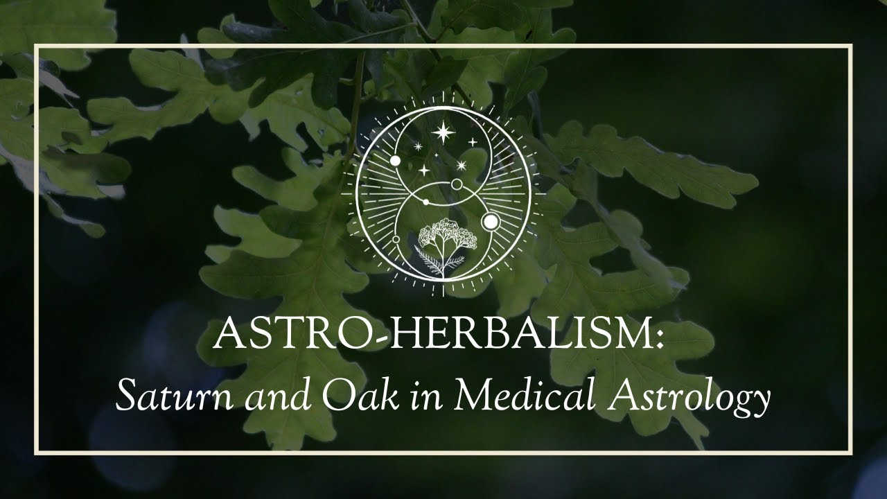 Astro-Herbalism: Saturn and Oak in Medical Astrology - YouTube