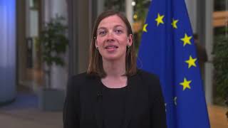 Li Andersson, Chair, Committee on Employment and Social Affairs, Europ
