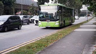 SG1877T(MDDEP 858) On Service 965 At Yishun Avenue 2