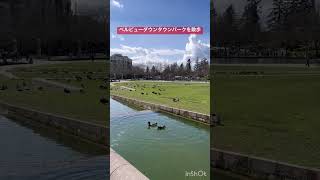 週末のベルビューダウンタウンパーク。 #シアトル不動産 #シアトル駐在 #ベルビュー