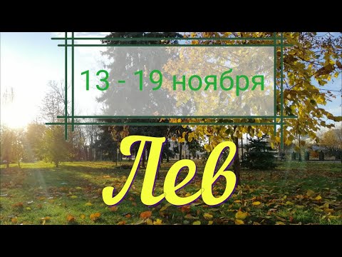 ЛЕВ ♌️с 13 по 19 ноября.