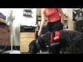 IMG 3959