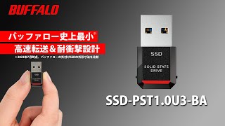 超小さいSSD？！ 簡単にUSBに刺すだけ！APEXをインストールして検証！PC、PS4、PS5で使えるし、容量も大きいので普段使い◎ BUFFALO SSD-PST1.0U3-BA