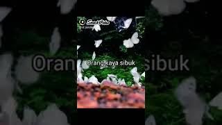 Download lagu Kumpulan snack video,, yang sangat menyentuh hati banget ,status WA. mp3