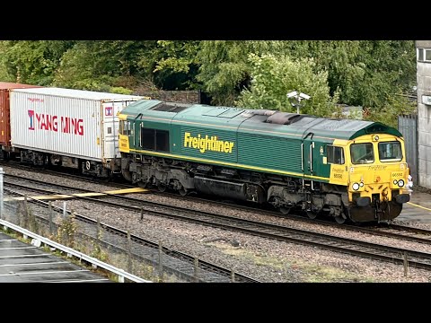 Freightliner Class 66 at Basingstoke, SWML, 12/9/2025 | Boom Trainspots