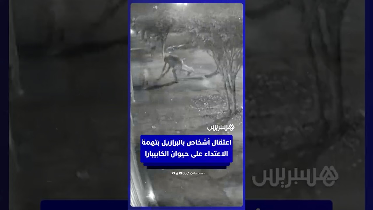 اعتقال 8 أشخاص في البرازيل بتهمة الاعـ ـتداء على حيوان الكابيبارا thumbnail