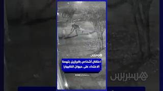 اعتقال 8 أشخاص في البرازيل بتهمة الاعـ ـتداء على حيوان الكابيبارا thumbnail