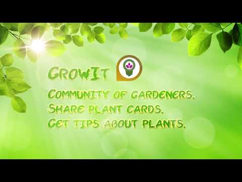 5 Best Gardening Apps to Help You Grow Your Garden Better