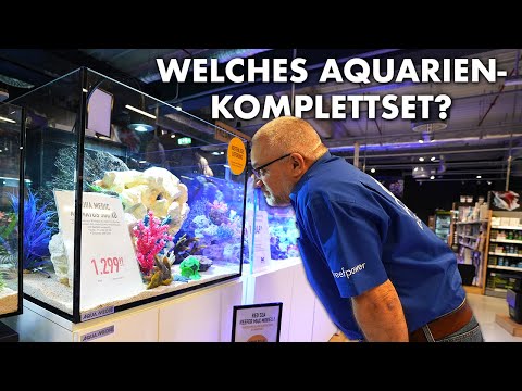 Welches Komplett-Aquarium soll ich kaufen? - Fauna Marin