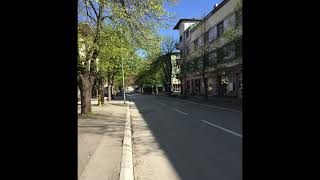 The Magnetic Fields The Luckiest Guy on the Lower East Side