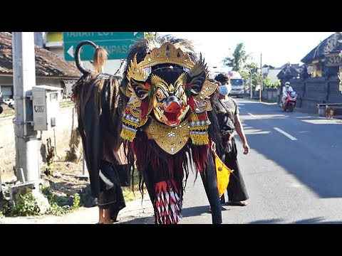 NGELAWANG BARONG BANGKUNG SEKA BSWARA 2021 DI BABAKAN CANGGU - Pemanasan Sebelum Getarkan Sading