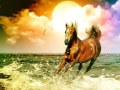 Jingle horse