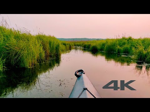 Evening Sunset Kayaking ~ Scaring a Gaggle of Geese While River Kayaking