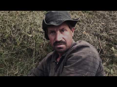 ★★★ HD EDIT - Chuck Norris odnaleziony w Polsce! ★★★ HIT INTERNETU ★★★