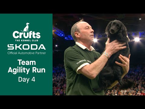 Your TEAM Agility run from Day 4! | Crufts 2023