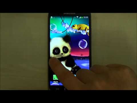 Panda Live Wallpaper Video