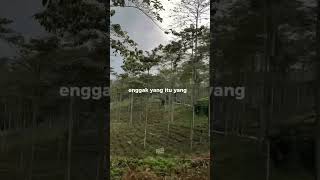 Download lagu Di cokot oray ππ orng sunda pasti pahamπ
π #orangsunda #kocak #obrolanlucu mp3 Download lagu Di cokot oray ππ orng sunda pasti pahamπ
π #orangsunda #kocak #obrolanlucu mp3