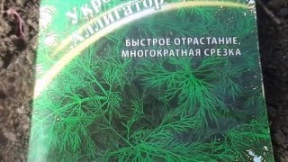 Что означает нашивка укроп